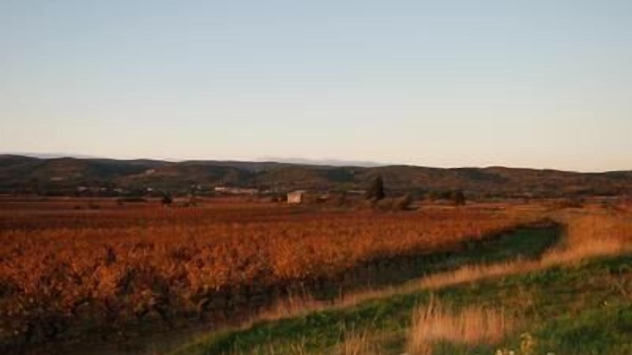 Photo of Others in Cesseras