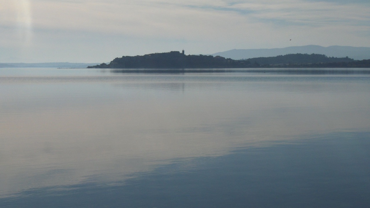 Photo of Others in Bages