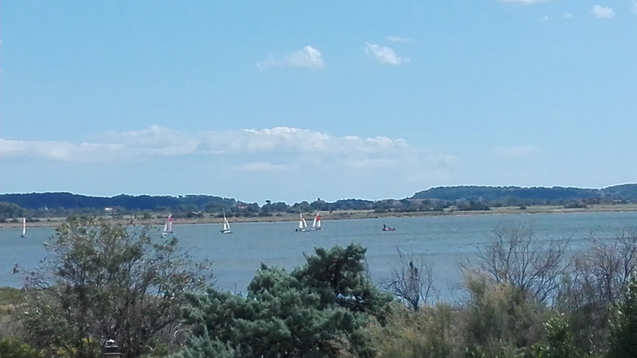 Photo of Others in Bages