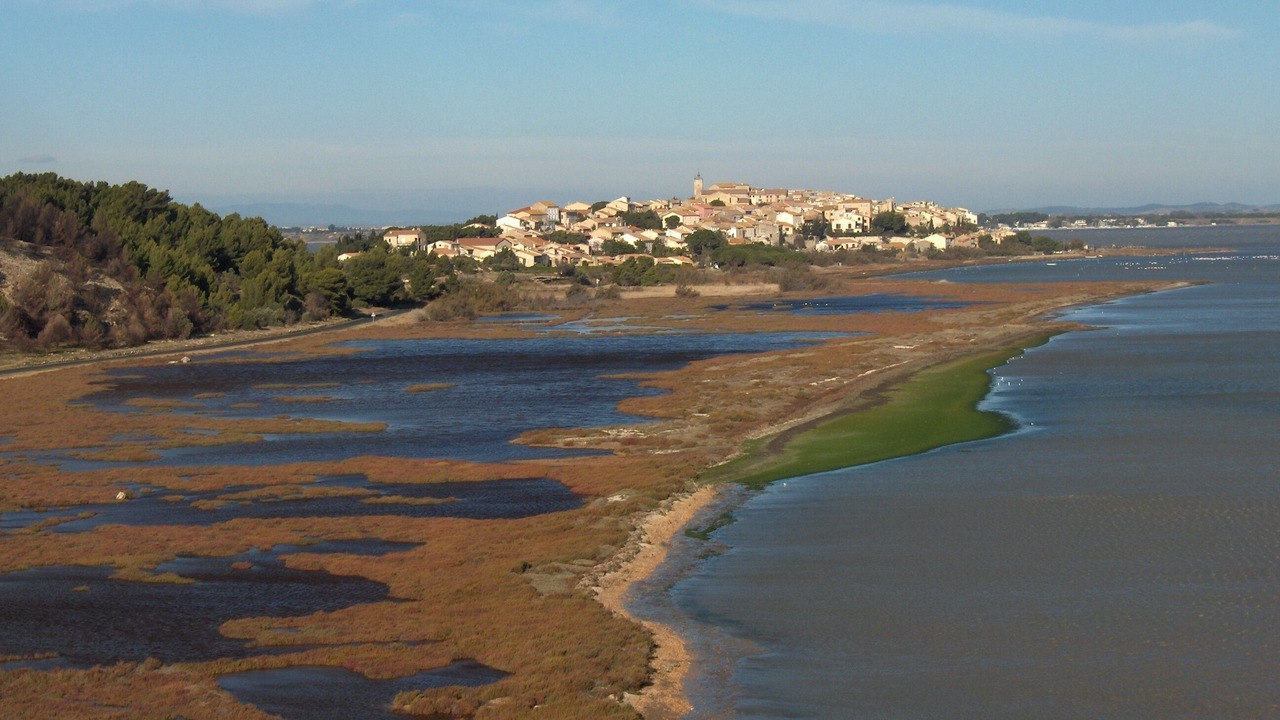 Photo of Others in Bages