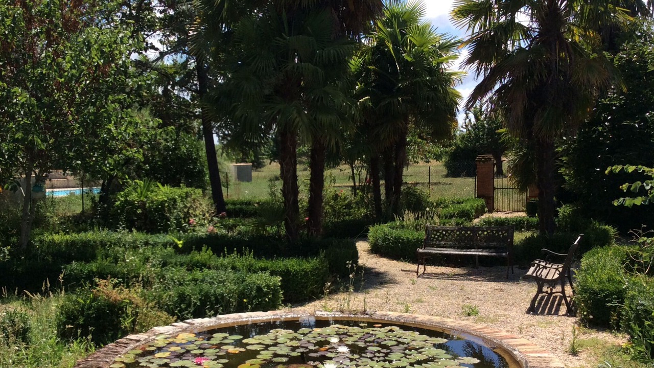 Photo of Outdoor in Lisle-sur-Tarn