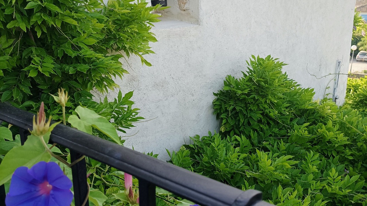 Photo of Outdoor in Pignan