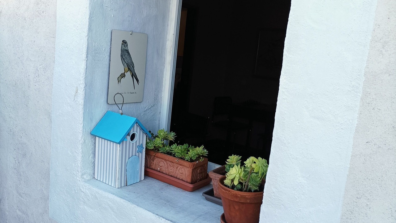 Photo of Outdoor in Pignan