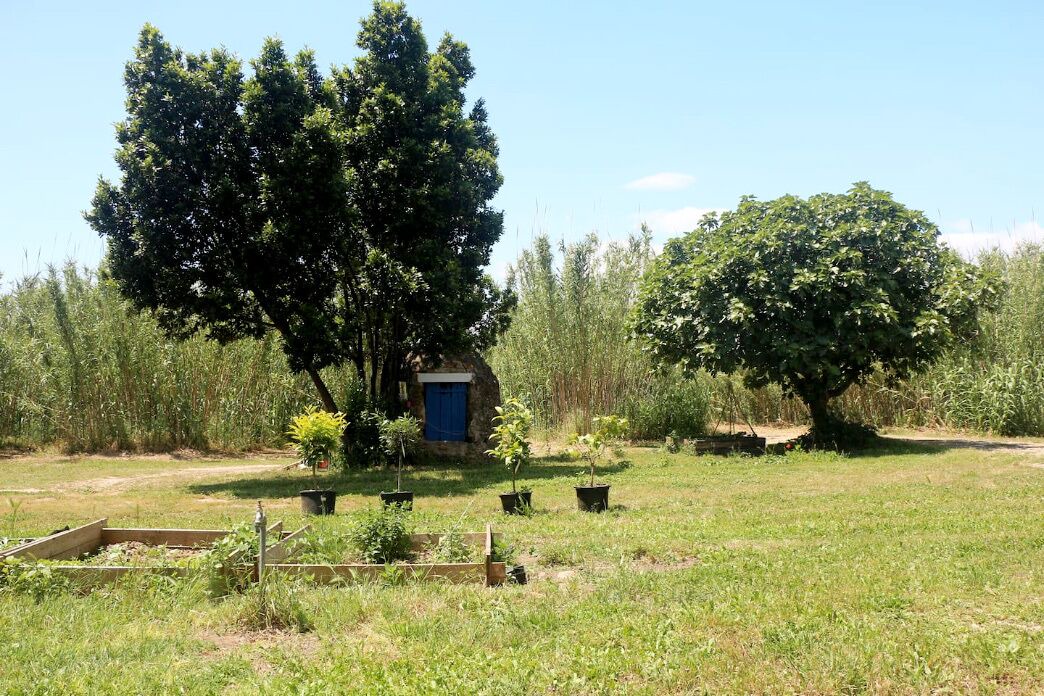 Photo of Outdoor in Bormes-Les-Mimosas