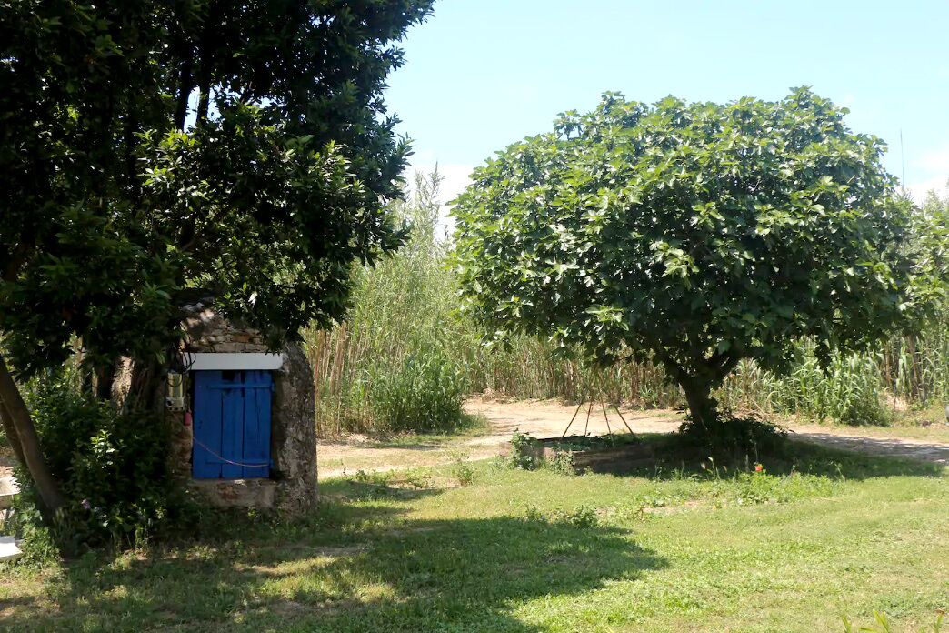 Photo of Outdoor in Bormes-Les-Mimosas