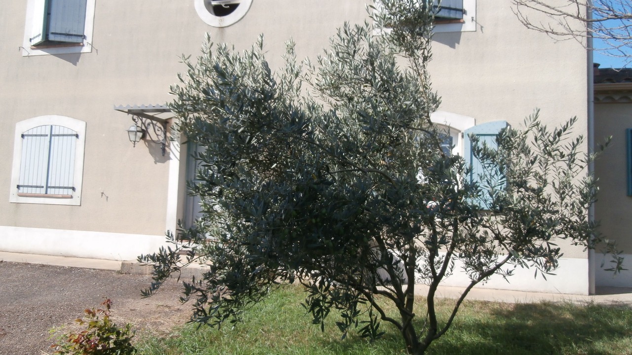 Photo of Outdoor in Carcassonne