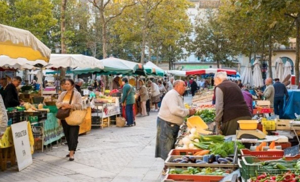 Photo of Others in Carcassonne