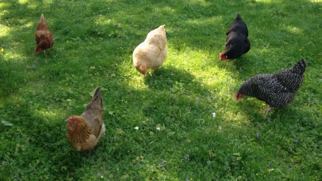 Photo of Outdoor in Wilton