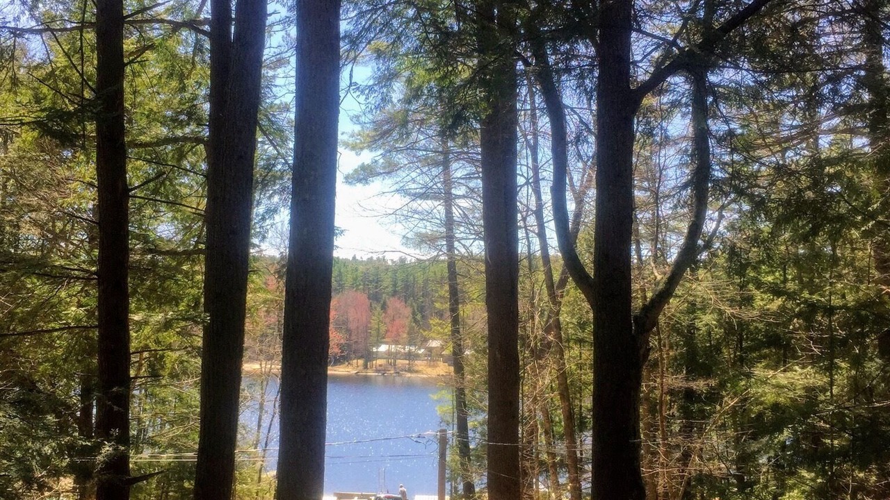 Photo of Outdoor in Chestertown