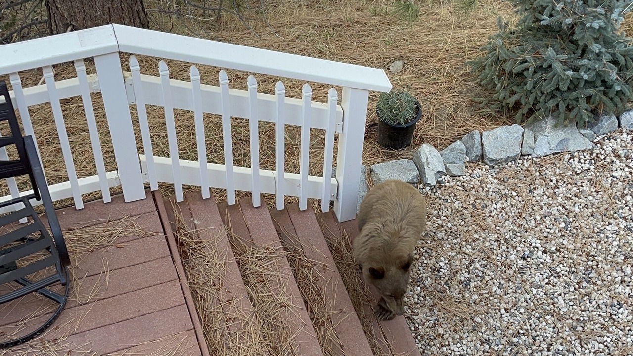 Photo of Patio Balcony in Pioneer Trail
