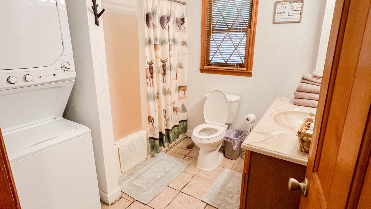 Photo of Bathroom in Ellijay
