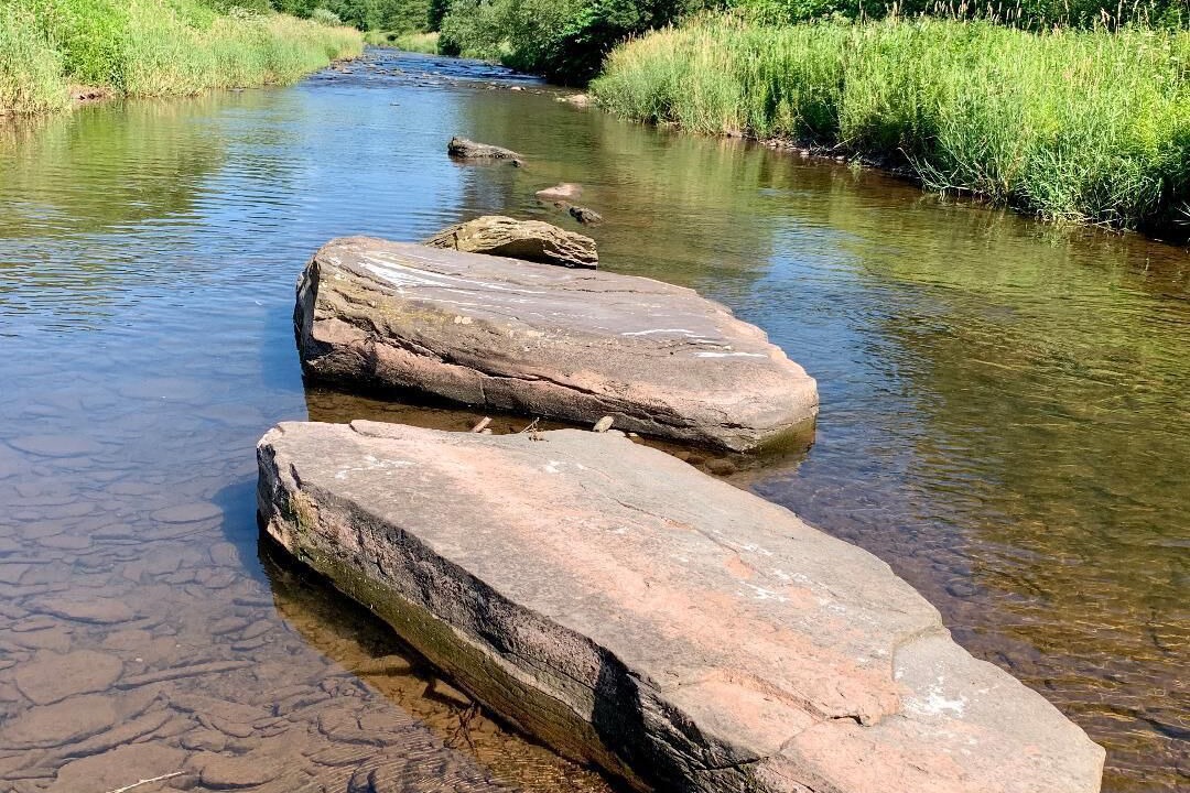 Photo of Others in Delhi