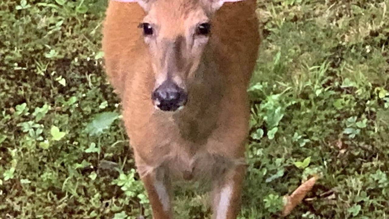 Photo of Outdoor in Delhi