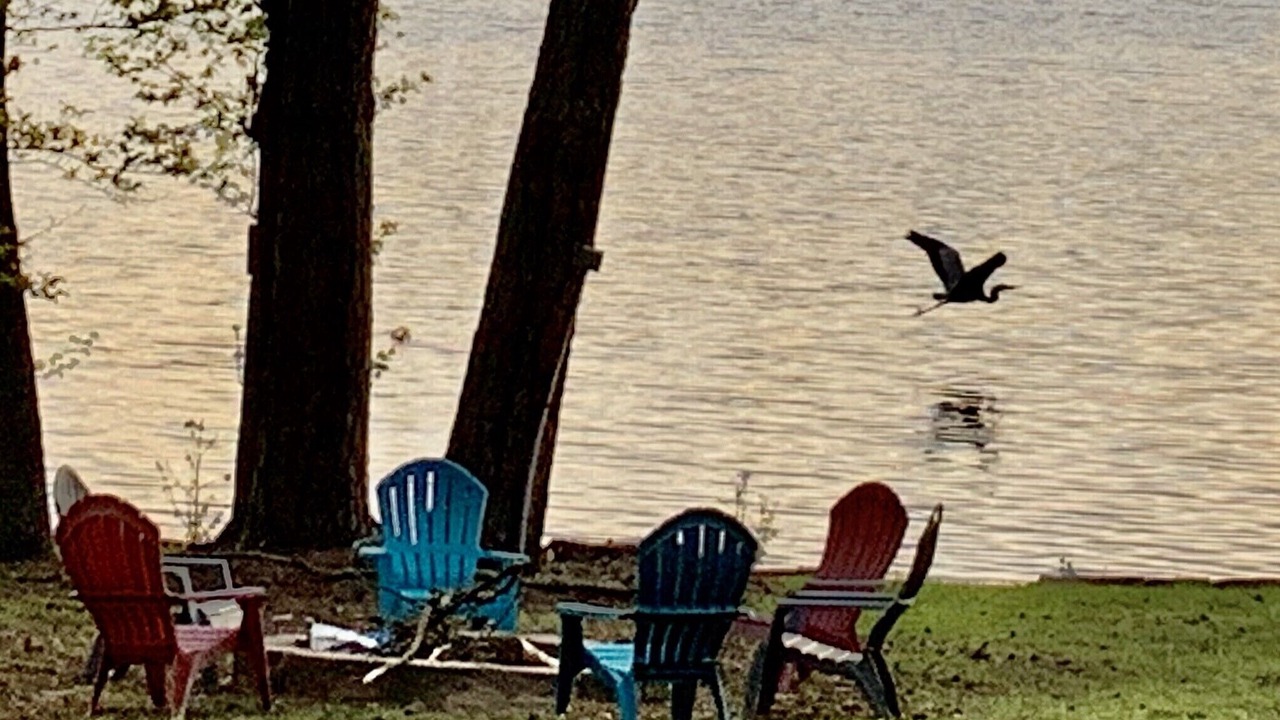 Photo of Outdoor in Hawkins