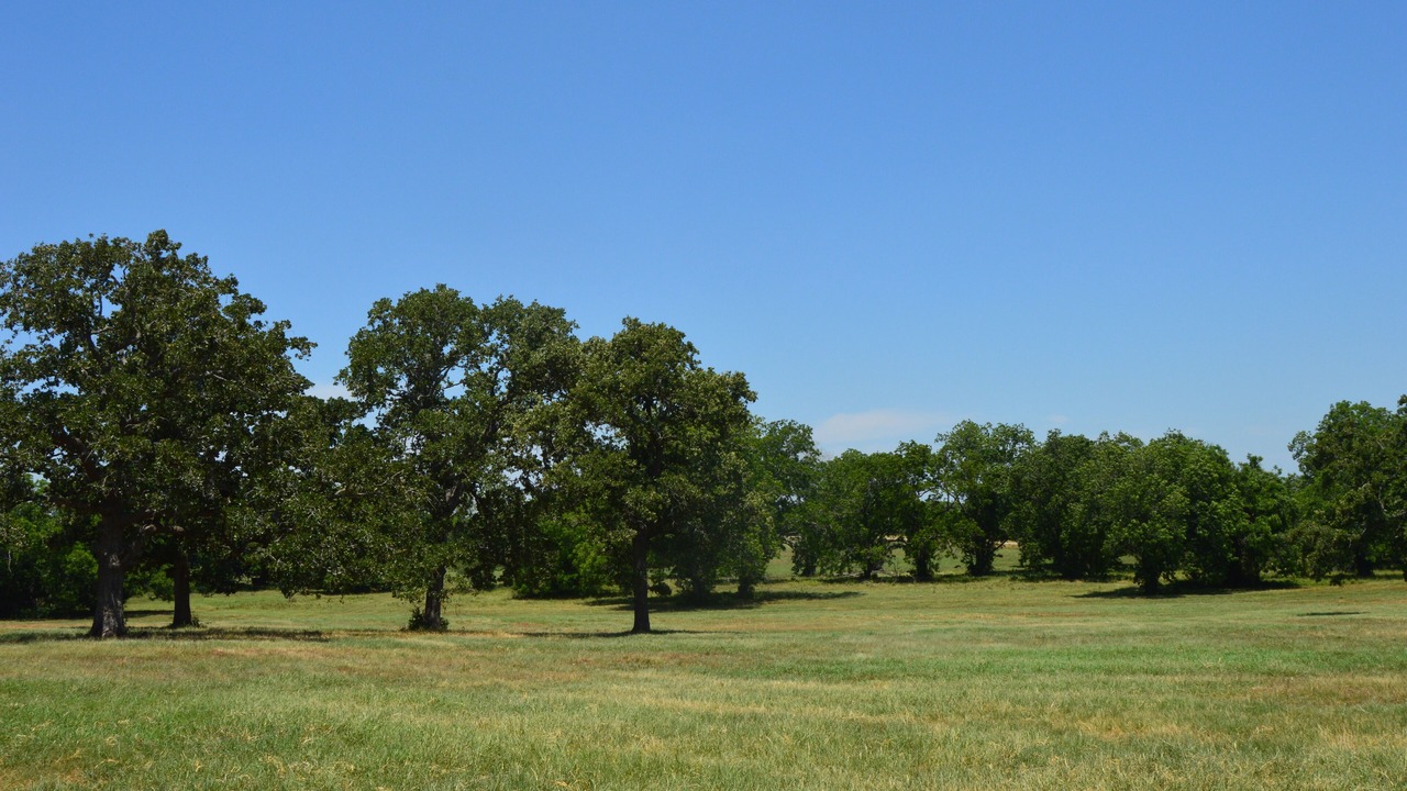 Photo of Others in Luling