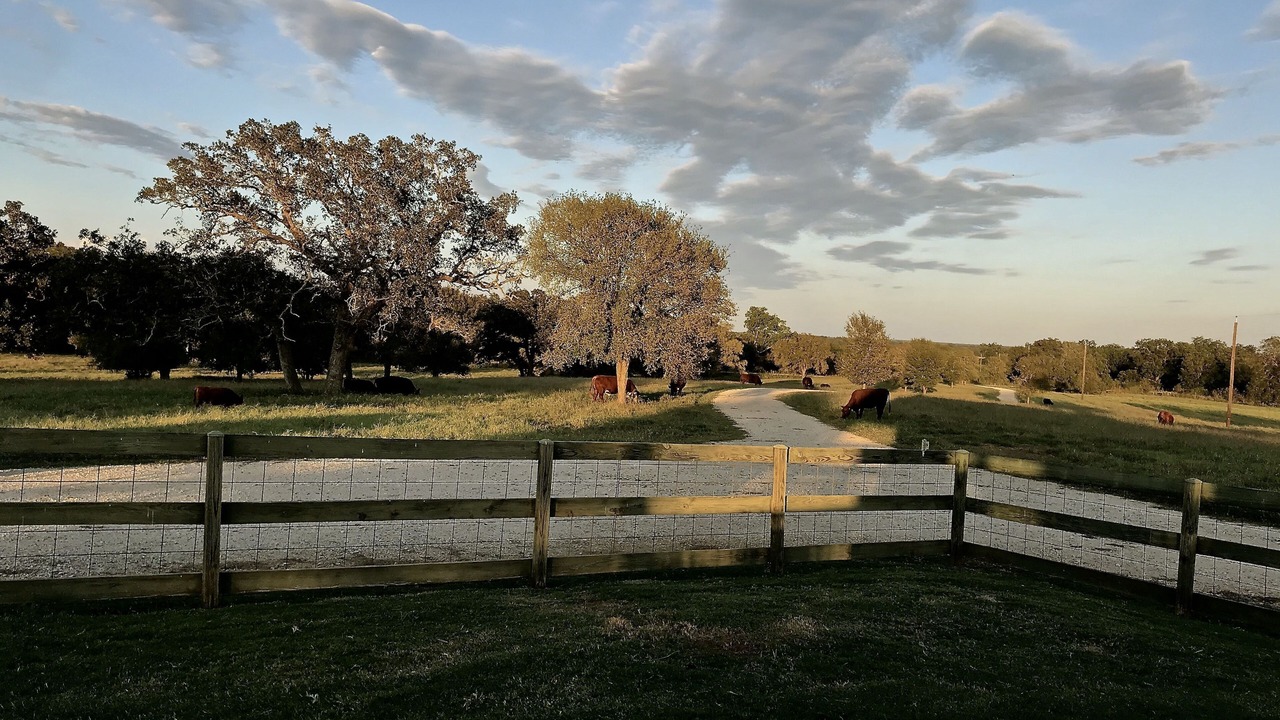 Photo of Outdoor in Luling