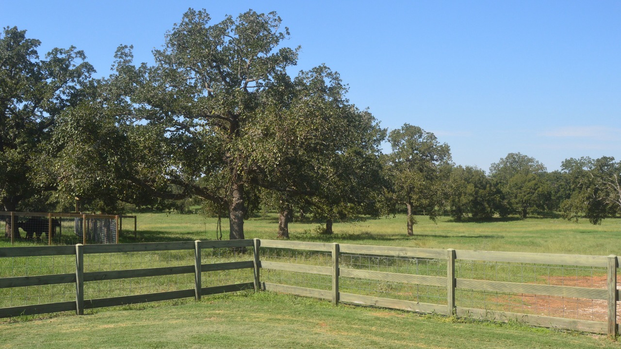 Photo of Others in Luling
