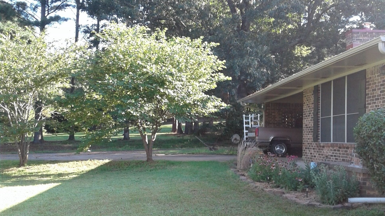 Photo of Outdoor in Clarksville