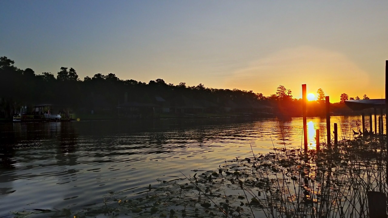 Photo of Others in Maurepas