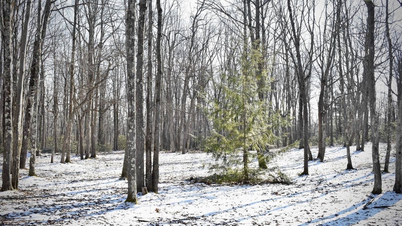 Photo of Others in Hyner