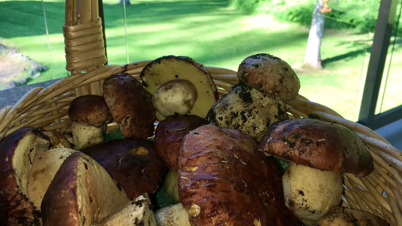 Photo of Others in Kooskia