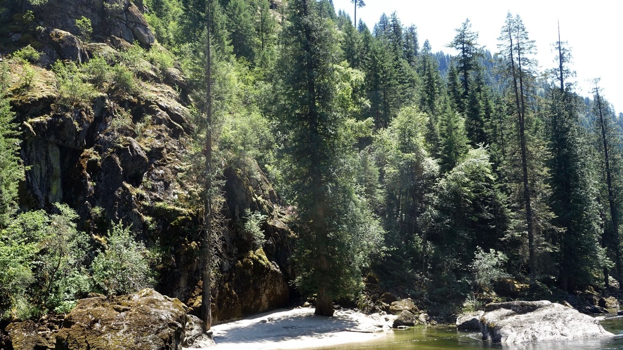 Photo of Others in Kooskia