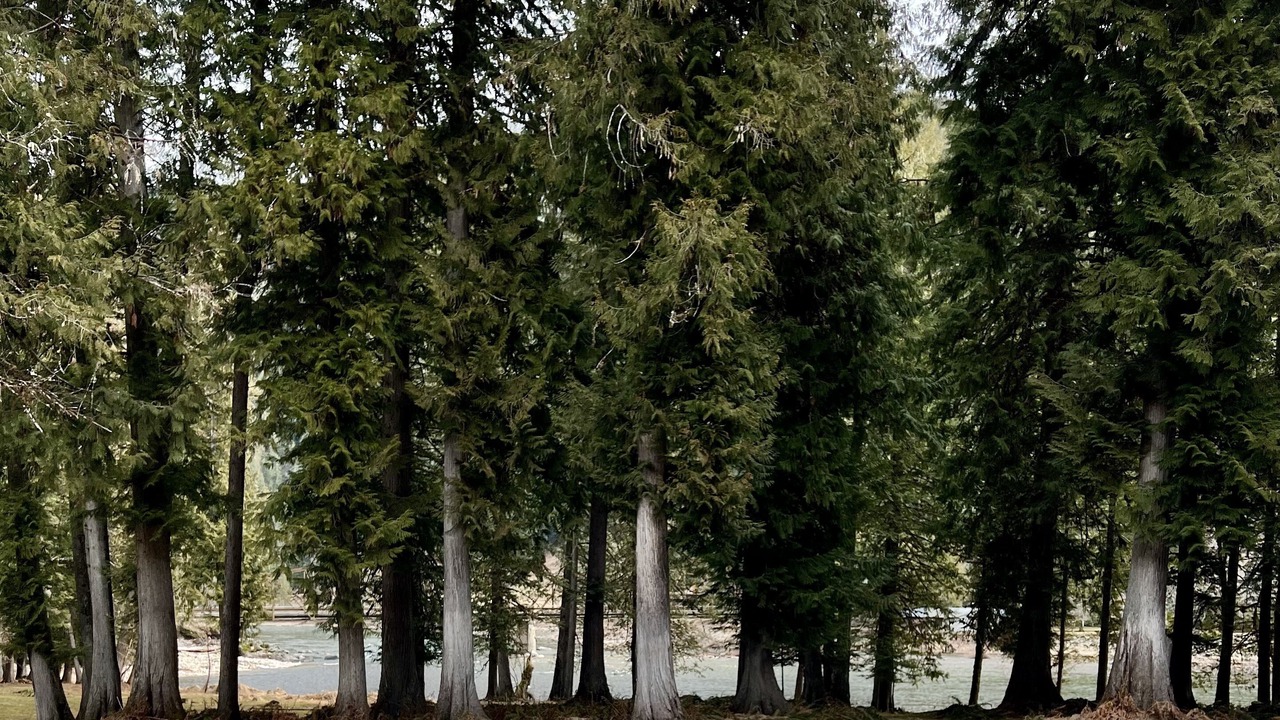 Photo of Outdoor in Kooskia