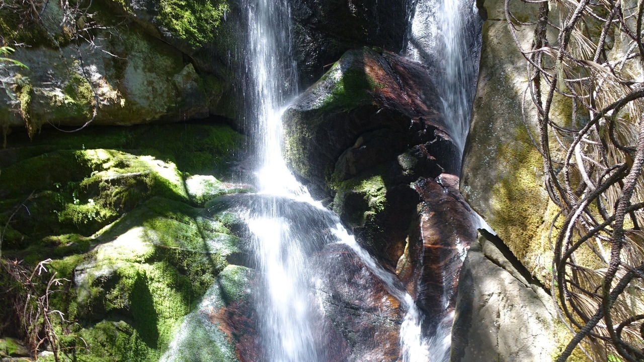 Photo of Others in Kooskia