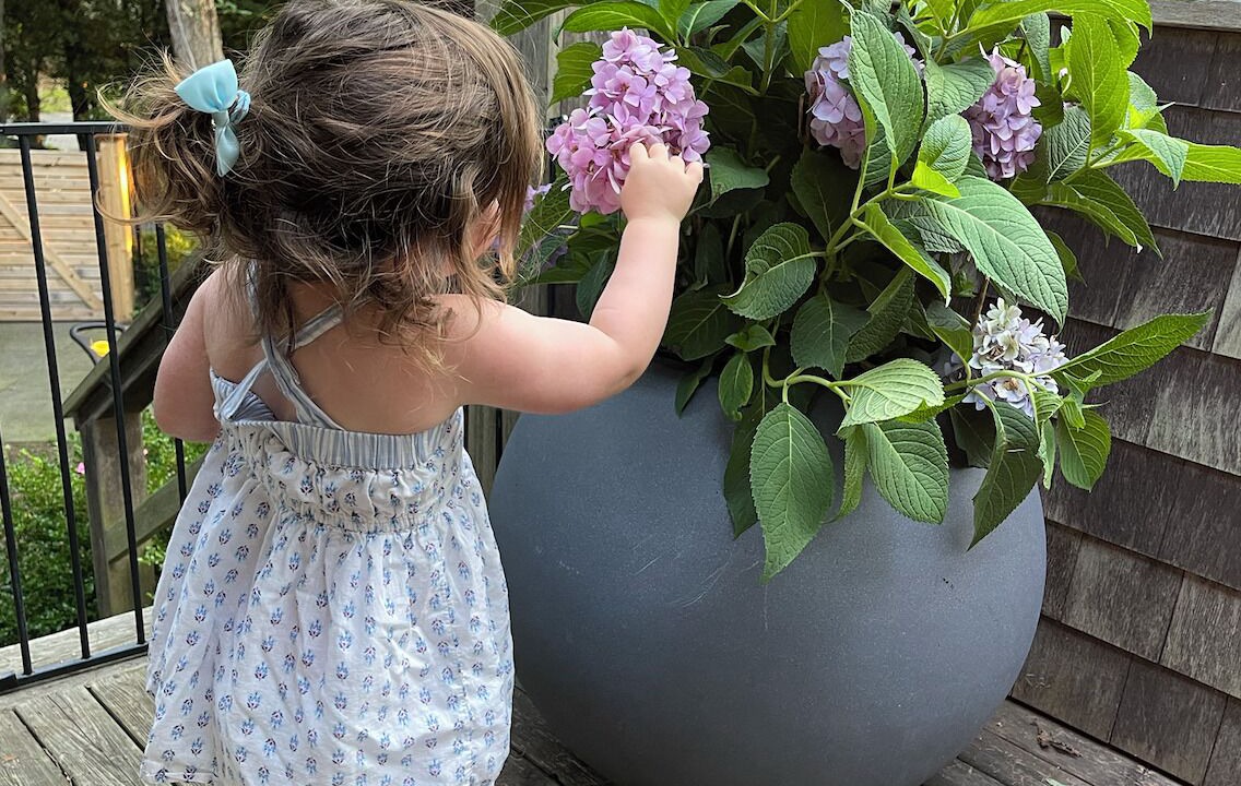 Photo of Outdoor in Lion Head Beach