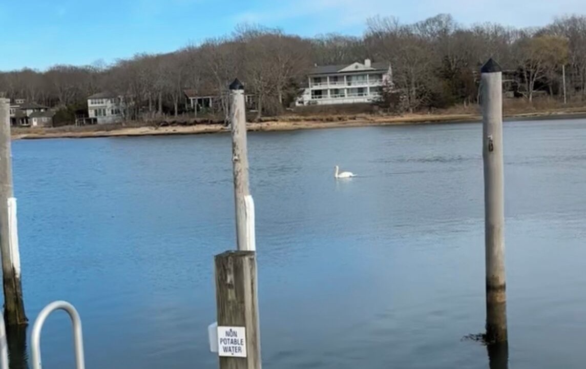 Photo of Outdoor in Lion Head Beach