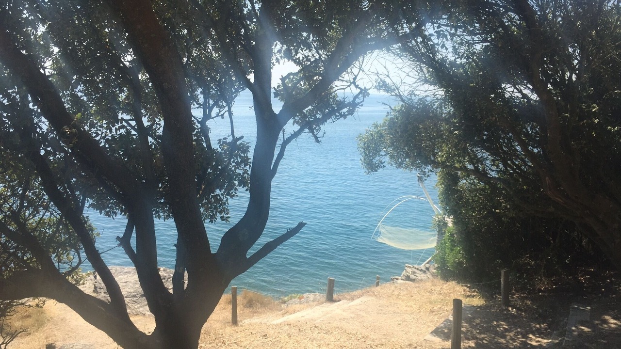 Photo of Others in Pornic