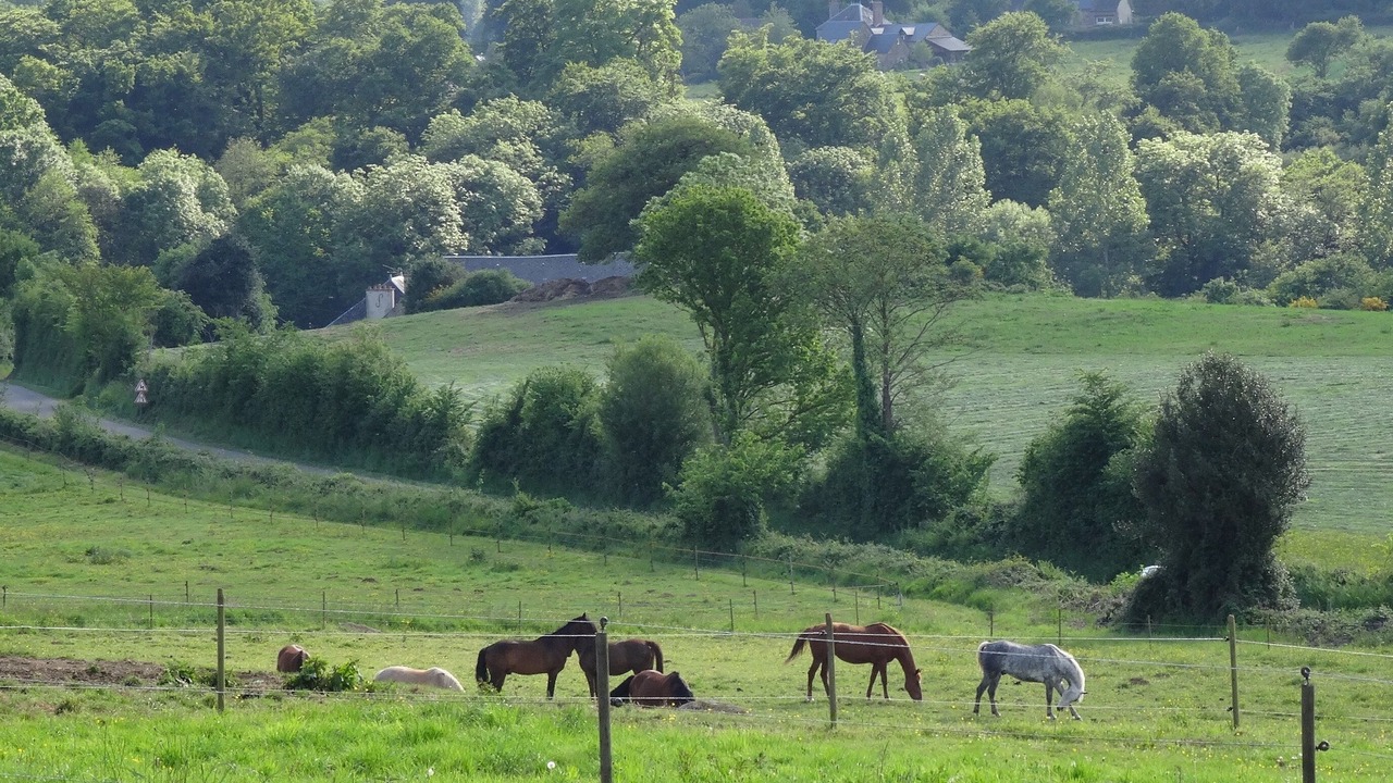 Photo of Outdoor in Notre-Dame-du-Rocher