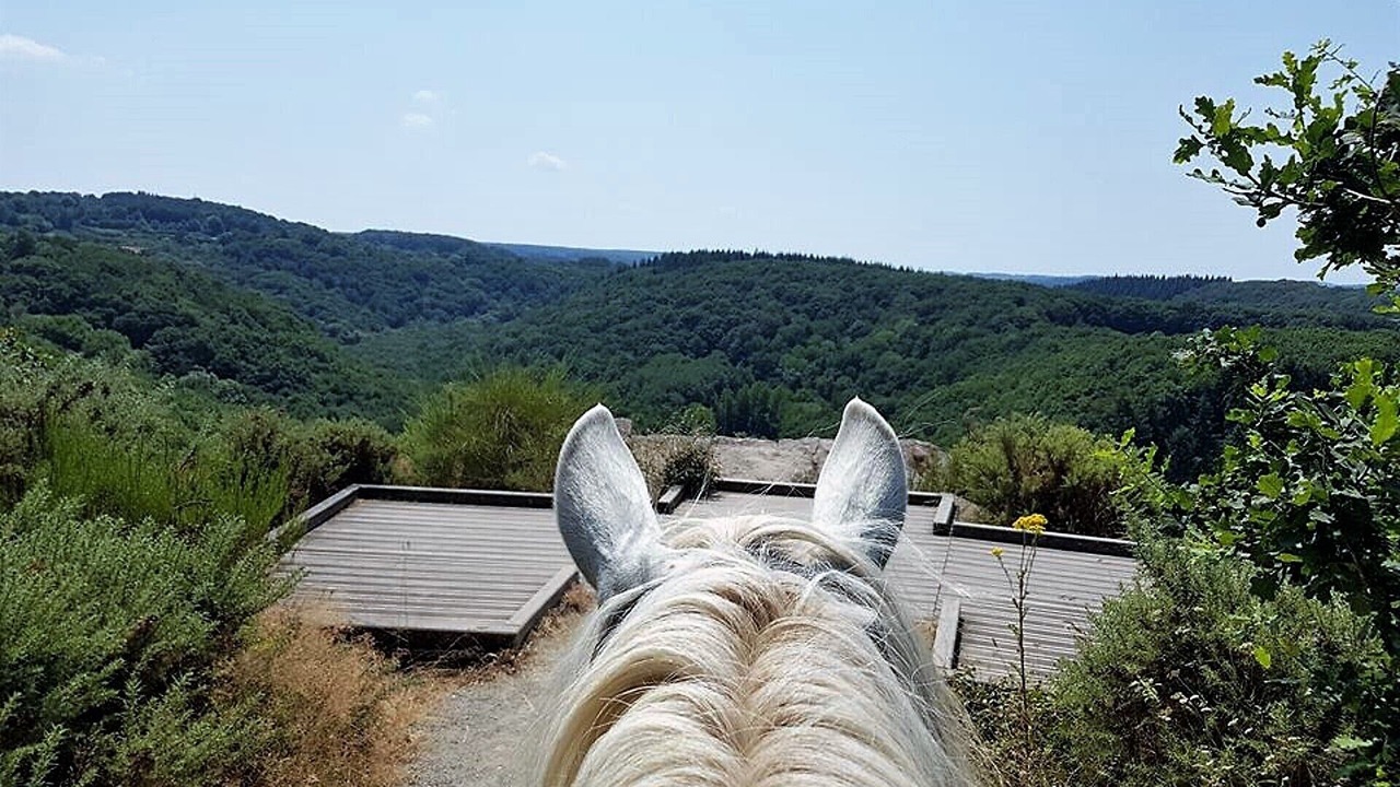 Photo of Outdoor in Notre-Dame-du-Rocher