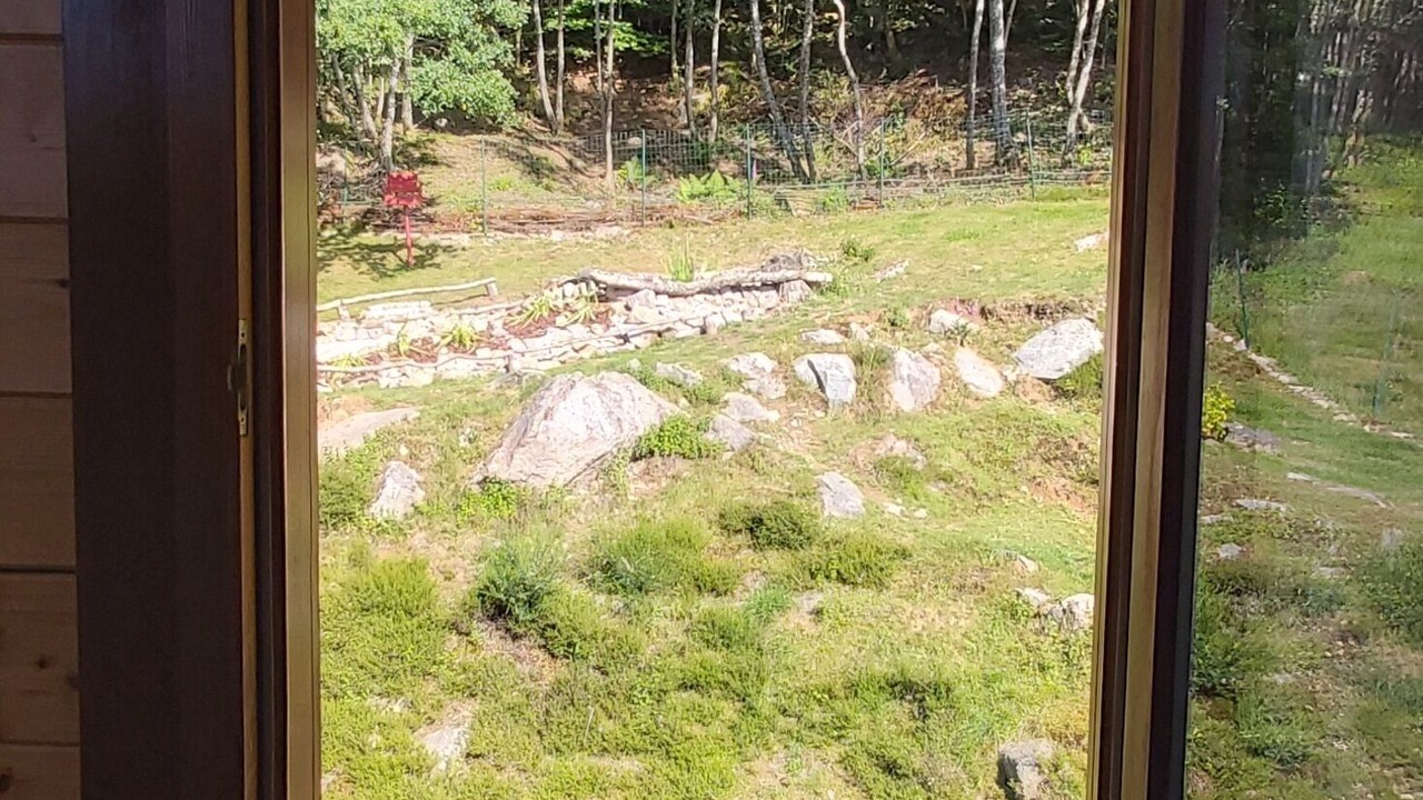 Photo of Others in Anould