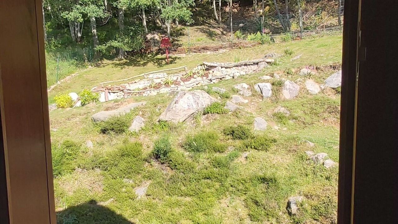 Photo of Others in Anould