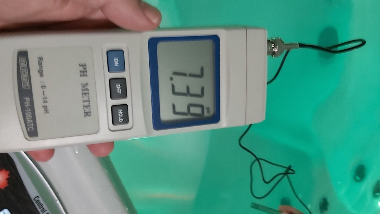 Photo of Others in Anould