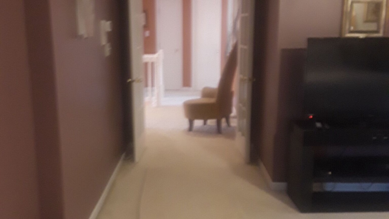 Photo of Others in Forestview