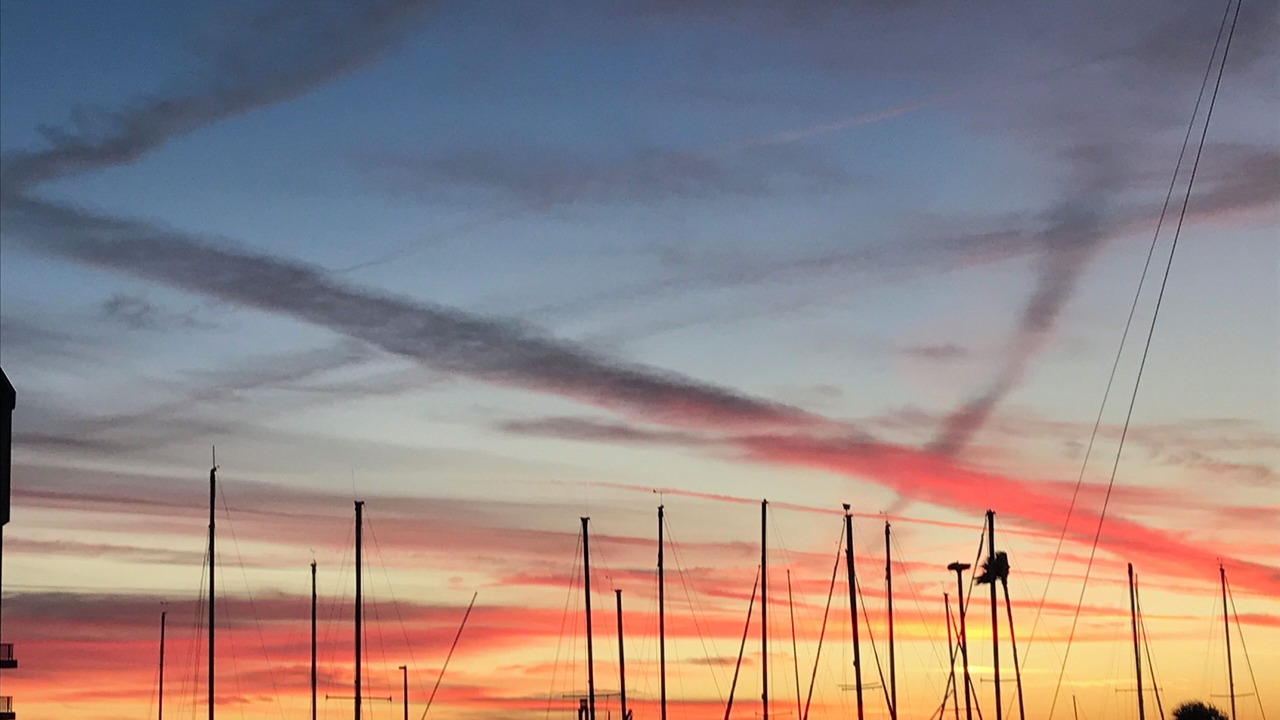 Photo of Others in Dunedin