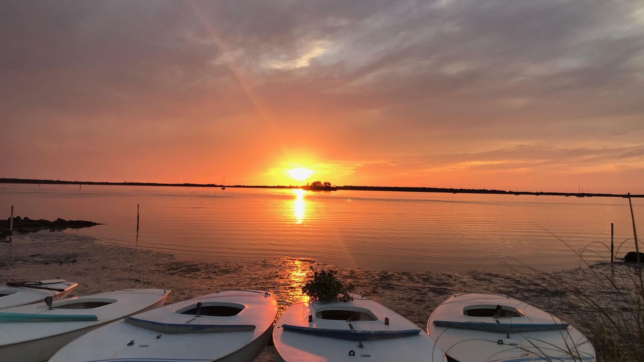 Photo of Outdoor in Dunedin
