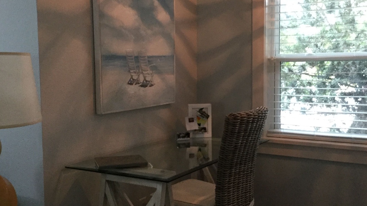 Photo of Others in Dunedin