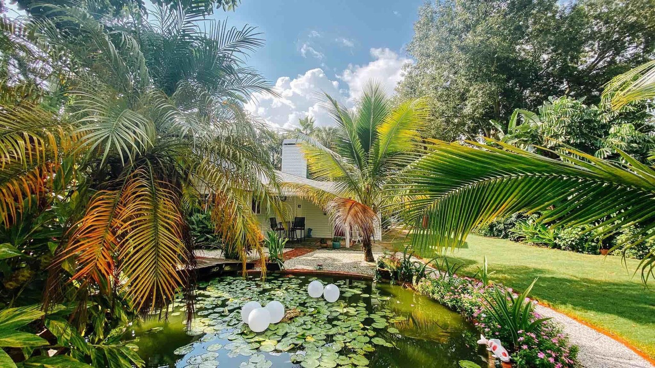 Photo of Others in Dunedin