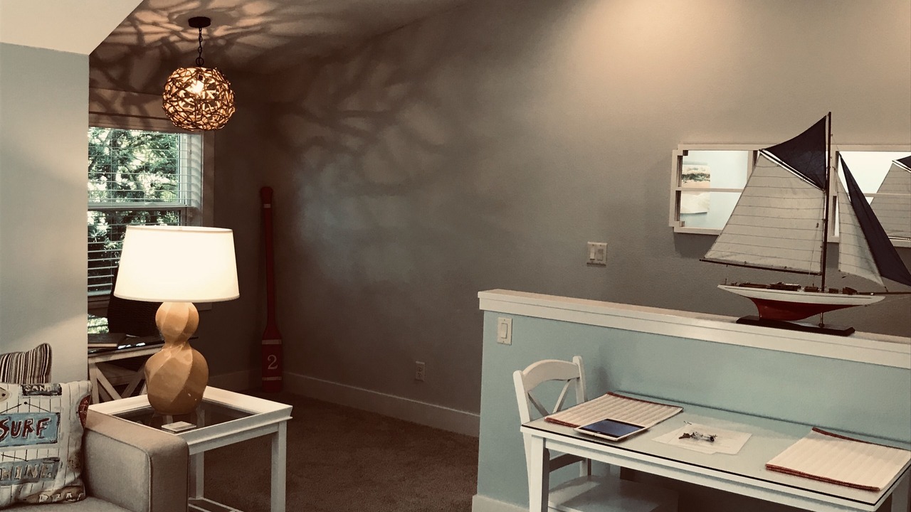 Photo of Others in Dunedin