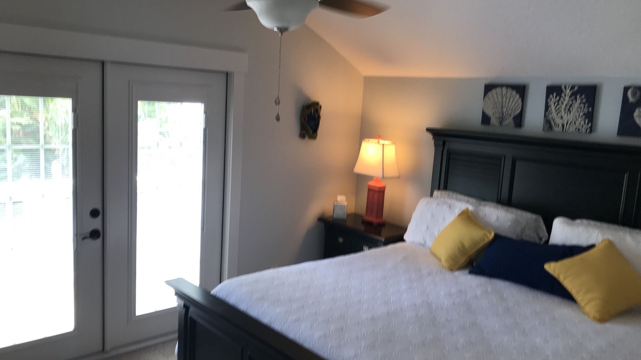 Photo of Others in Dunedin