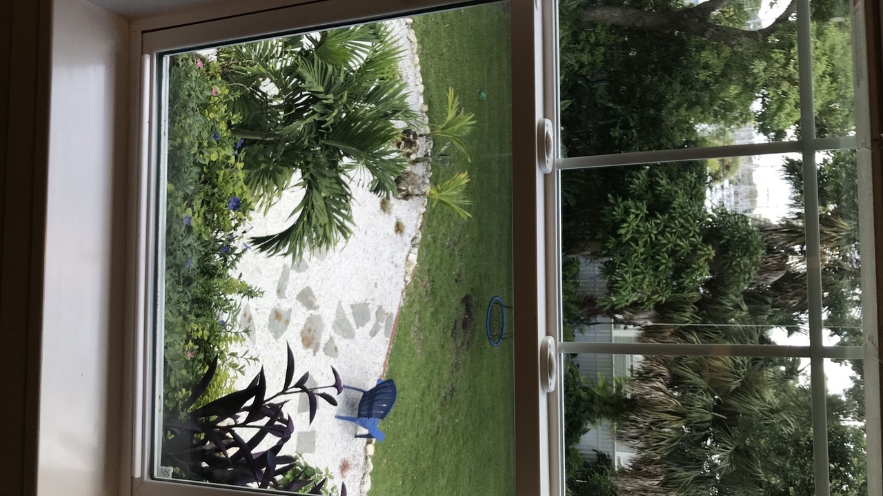 Photo of Others in Dunedin