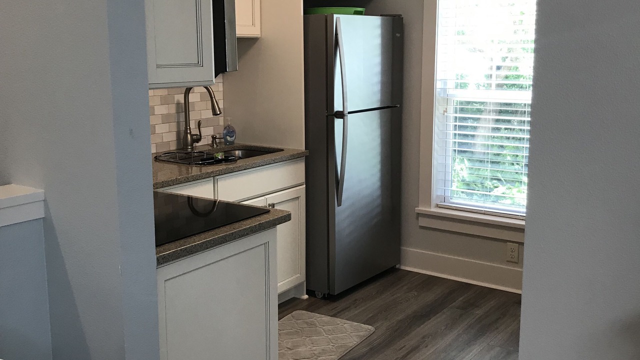 Photo of Others in Dunedin