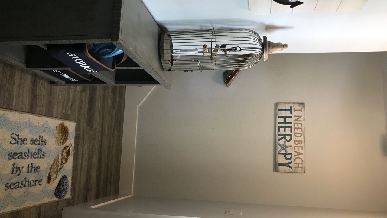 Photo of Others in Dunedin