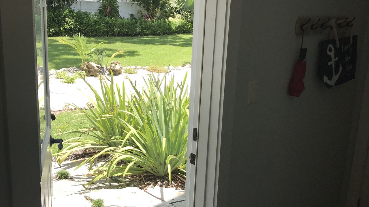 Photo of Others in Dunedin