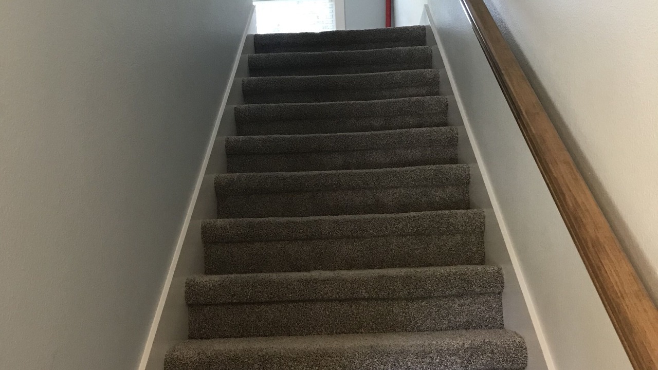 Photo of Others in Dunedin