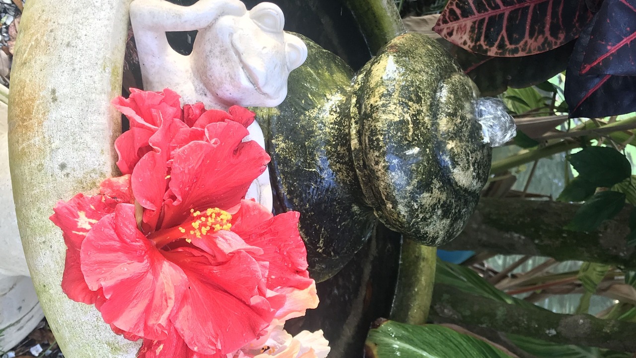 Photo of Outdoor in Dunedin