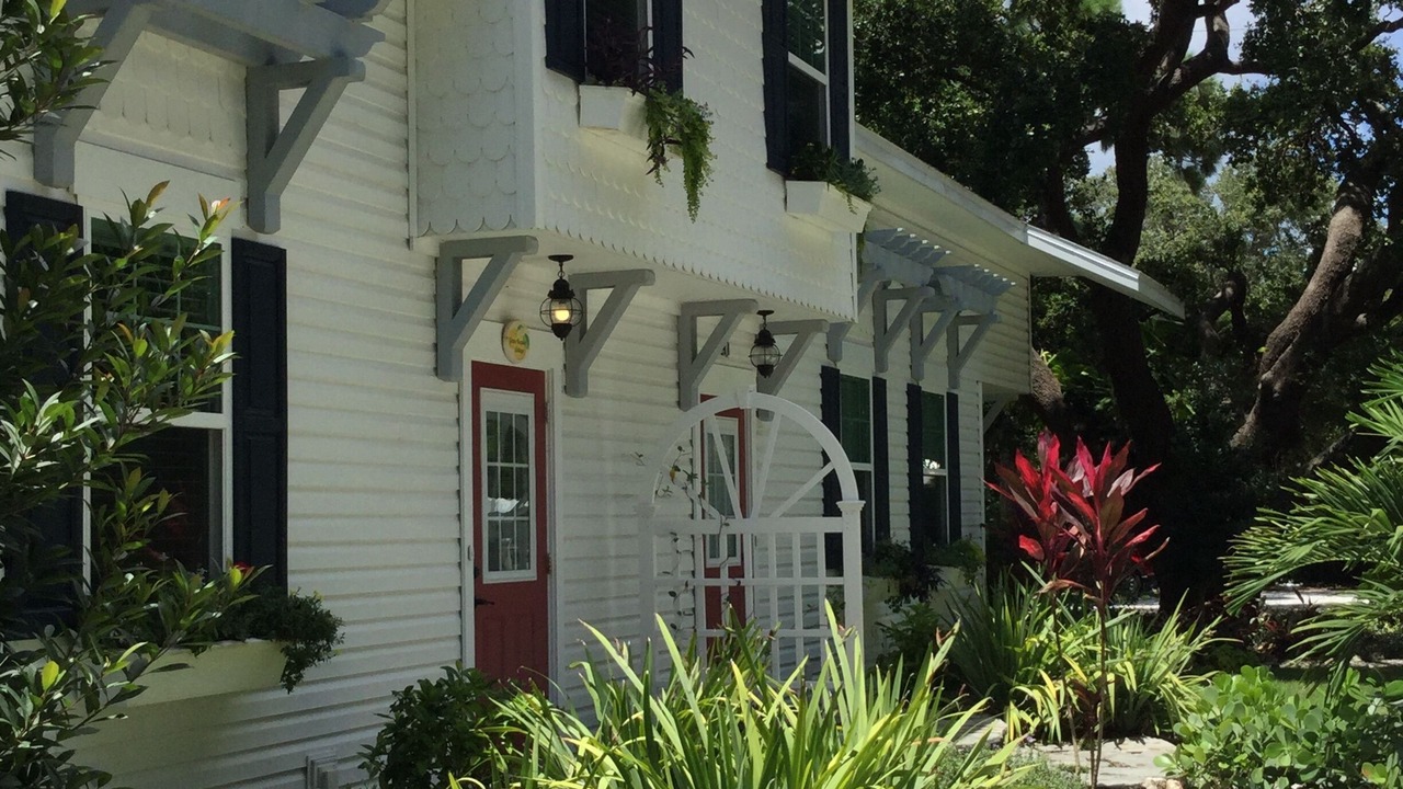 Photo of Outdoor in Dunedin